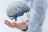 تأثير صحة الدماغ على القدرات الإدارية للفرد