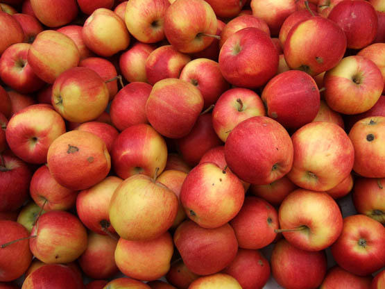 البريكست يهدد 16 مليون تفاحة