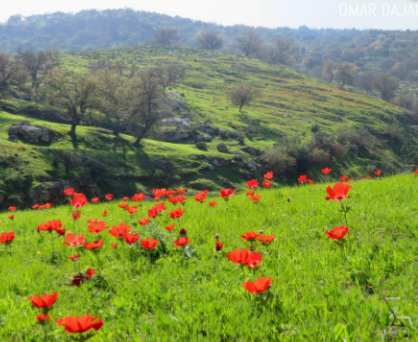 أجواء ربيعية معتدلة في أغلب المناطق