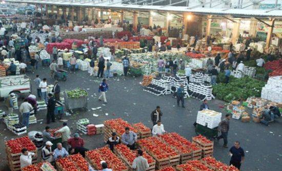 2818 طن خضار وفواكه ترد للسوق المركزي