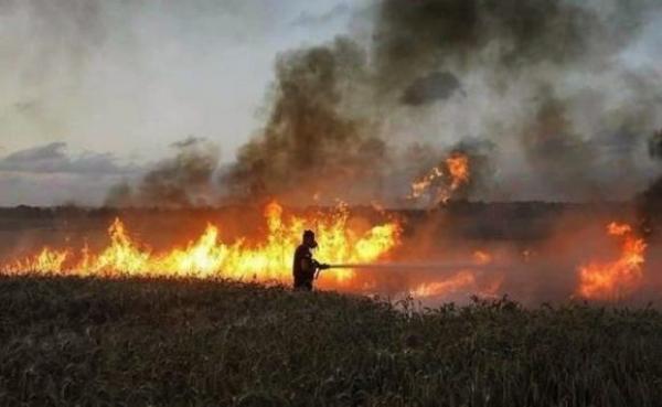 112 حريقا في الأردن خلال 24 ساعة