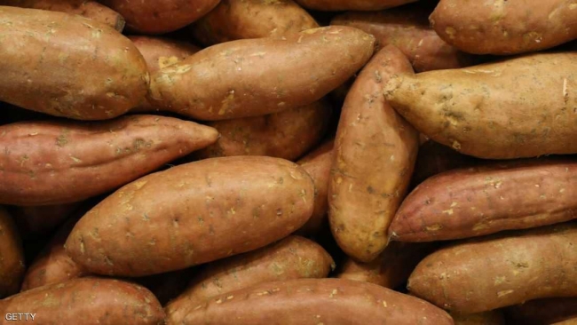 البطاطا الحلوة.. فوائد جمّة وتعزز المناعة ومفيدة للقلب