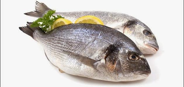 ماذا يحدث لجسم الصائم عند تناول السمك؟