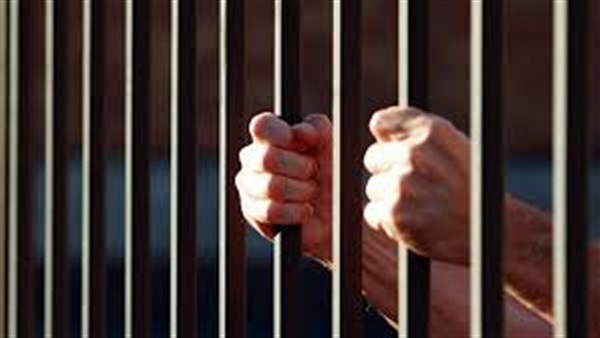 مصر.. السجن المؤبد لـ5 أشخاص أدينوا بتشكيل خلية مسلحة
