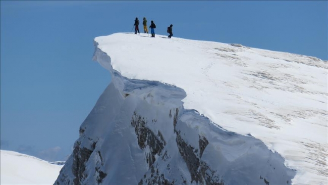 علماء صينيون يجمعون بذوراً برية من ارتفاعات تبلغ 6200 متر