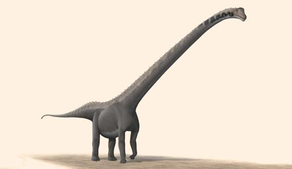 علماء الحفريات يحددون أنواعاً جديدة من الديناصور