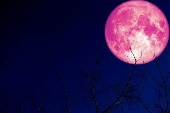 السماء على موعد مع القمر الوردي من السبت إلى الاثنين