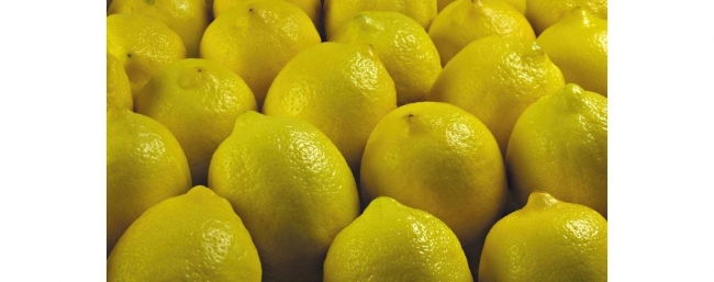 فتح باب استيراد الليمون اعتبارا من الإثنين