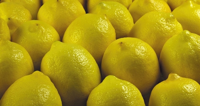 أسباب ارتفاع سعر الليمون