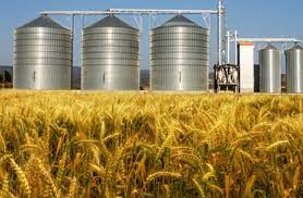 2.3 مليون طن المخزون الاستراتيجي للأردن من القمح والشعير
