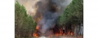 اندلاع حرائق في غابات جنوب غرب فرنسا وسط موجة حارة جديدة