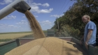 أوكرانيا صدرت نحو 47 مليون طن من المواد الغذائية بموجب اتفاق الحبوب