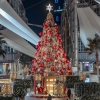 الاحتفال بإضاءة شجرة عيد الميلاد المجيد في بوليفارد العبدلي