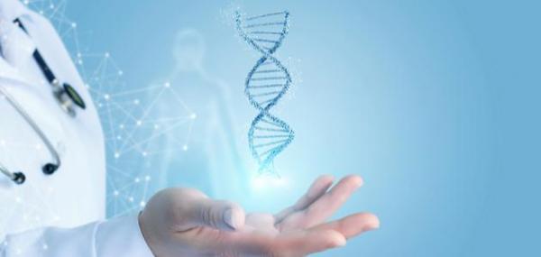 استخدامات الحمض النووي