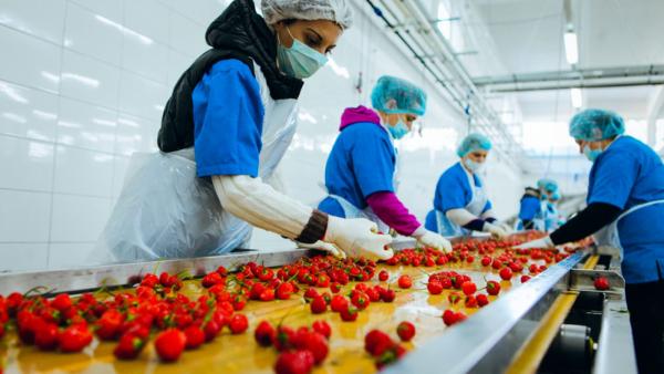 صناعة الأردن تحتفل بمشروع نمو لتطوير الصناعات الغذائية الزراعية