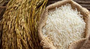 ممثل القطاع الغذائي في تجارة الأردن: سعر الأرز سينخفض بنسبة (1520) العام المقبل