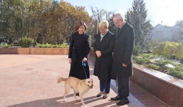 رئيس دولة أوروبية يتعرض لـعضة كلب