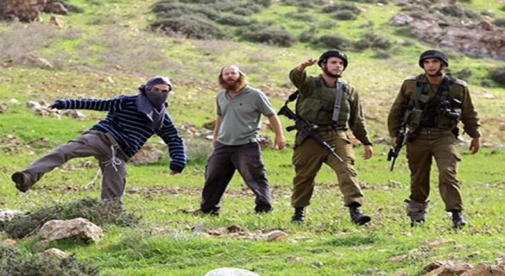 مستوطنون متطرفون يمنعون المزارعين الفلسطينيين من رعي مواشيهم في الأغوار الشمالية