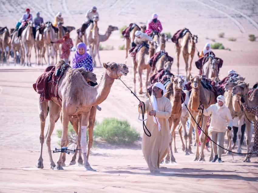 رحلة الهجن تقطع الصحراء الغربية في الطريق إلى خط النهاية