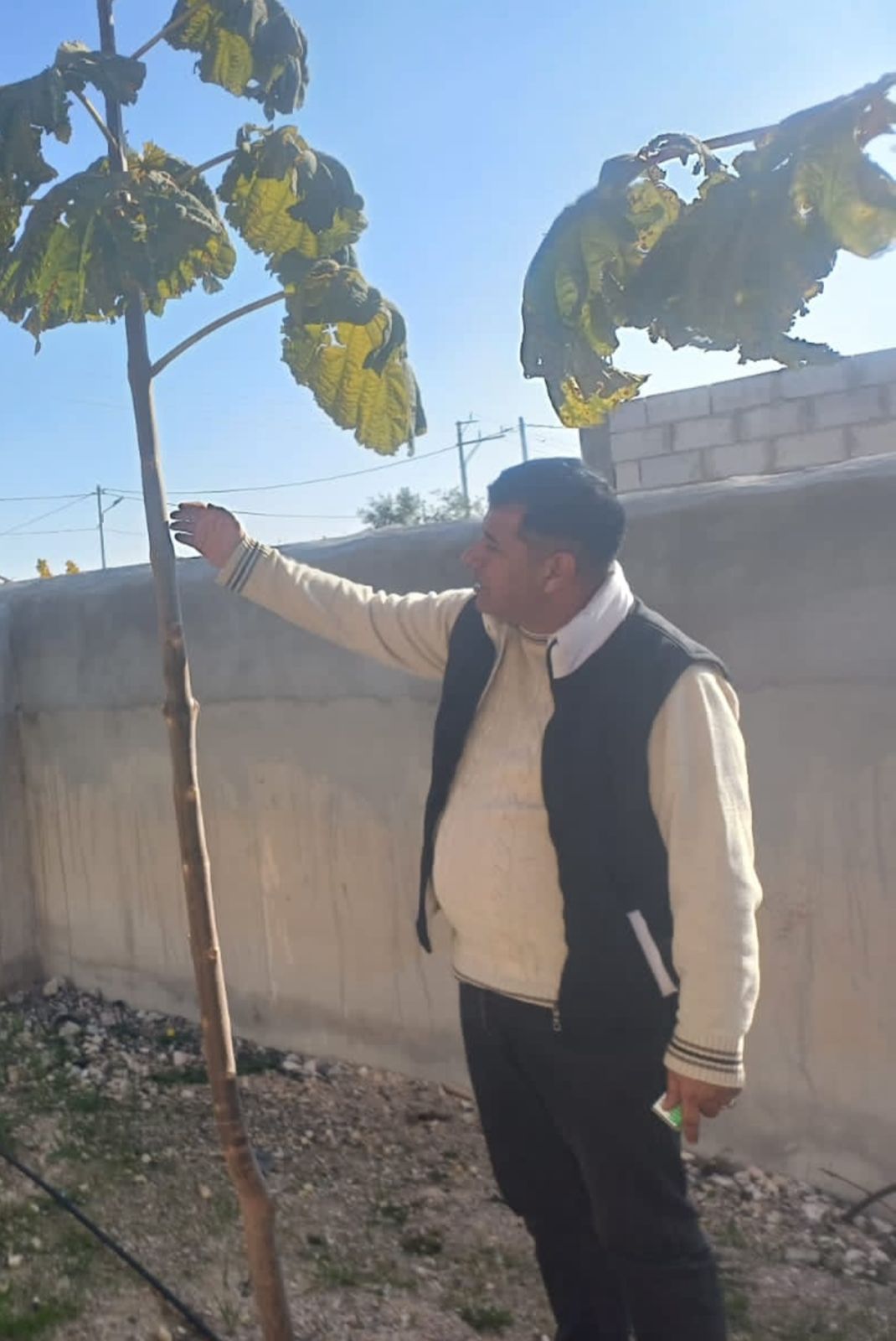 قصة نجاح رائدها رئيس بلدية الباسلية طالب الحماد للريادة في الإقتصاد الأخضر  نحو غطاء نباتي أخضر