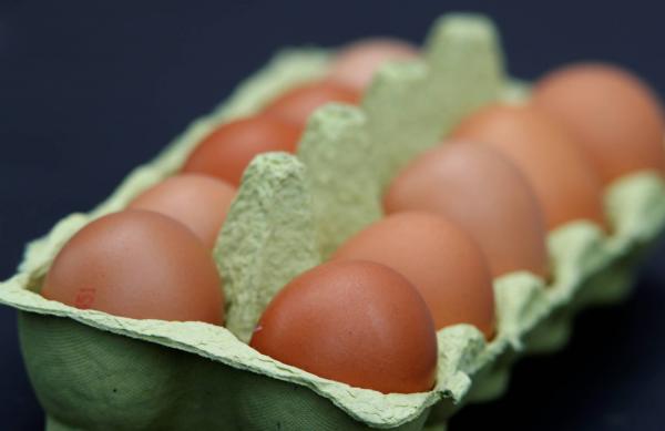 ما هو البيض الذي لا يرفع الكوليسترول .. ؟