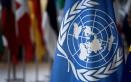 الأمم المتحدة تؤكد نزوح 80 ألف شخص من رفح
