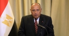 وزير خارجية مصر: اتفاقية السلام مع إسرائيل خيار استراتيجي