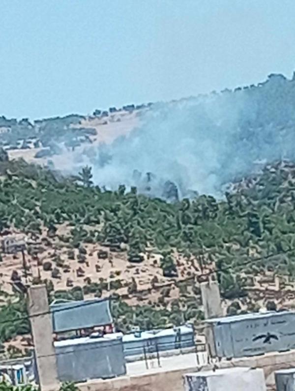 حريق كبير بأشجار أبو نمر الحرجية في عجلون .. والدفاع المدني يستعين بالمروحيات