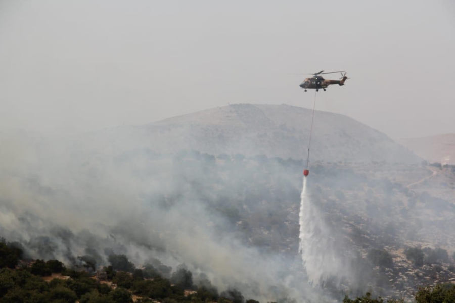 محافظ عجلون: العمل جار لإخماد حريق الصفصافة