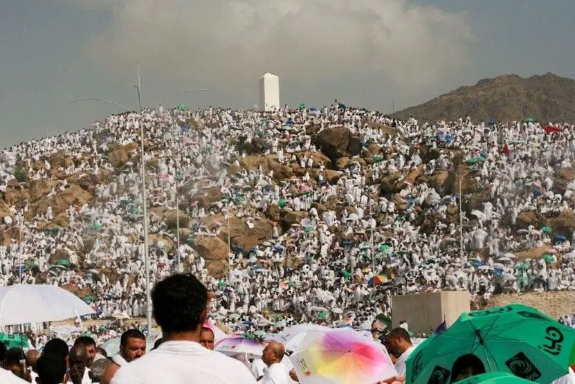 الحزب الديمقراطي الاجتماعي :محاسبة  شركات الحج المخالفة و تشكيل لجنة تحقيق عاجلة لمعرفة ملابسات هذه الكارثة، وتحديد المسؤولين عن الإهمال والتجاوزات