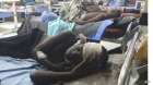48 قتيلًا بهجمات انتحارية استهدفت زفافًا ومستشفى وجنازة بنيجيريا