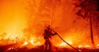 حرائق الغابات تستعر في كاليفورنيا إلى مناطق جديدة