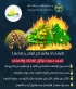 مديرية الأمن العام تحذر من خطر الحرائق وتدعو إلى حماية المواقع الطبيعية