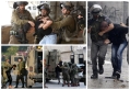 إصابة فلسطيني وزوجته جنوب الخليل والاحتلال يعتقل 15 بالضفة الغربية
