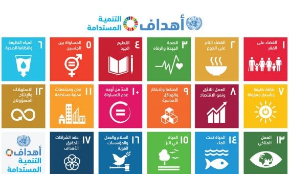 إطلاق البرامج التدريبية في جمعية بيئتي للتنمية المستدامة بالتعاون مع المؤسسات الحكومية ومؤسسات المجتمع المدني**