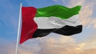 الإمارات تقدم 42 من مجمل المساعدات في غزة
