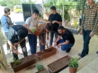 مركز شباب وشابات الغوير ينفذ نشاطًا بعنوان المبادرات الخضراء