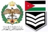 تهنئه بمناسبه الترفيع .