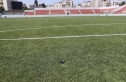 مقتل لاعب كرة قدم فلسطيني في هجوم إسرائيلي