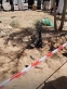 مستشفى الزرقاء: حالة الأطفال المصابين جراء سقوط جسم غريب حسنة