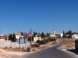 مربو أغنام في بلدة الجديدة بالكرك يطالبون بتعبيد طريق ترابي