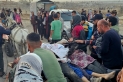 هيومن رايتس ووتش: قتل إسرائيل الباحثين عن الطعام بغزة جريمة حرب