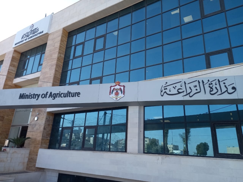 الزراعة: تحديد قيمة دعم فائض إنتاج البندورة وآلية الصرف خلال الأيام المقبلة