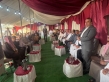 أفراح بني صخر.. الجبور والحمّاد نسايب