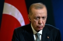 في اتصال مع زيلينسكي .. أردوغان يعرض استضافة قمة بشأن أوكرانيا في تركيا