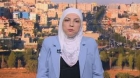 الإدارة المحلية: ضعف الموارد المالية يحد من إنشاء مراكز للتعامل مع الكلاب الضالة