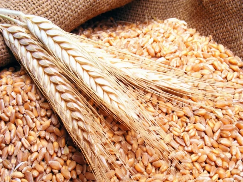 رفع سعر بيع طن دقيق القمح الموحد بنحو 59 قرشاً