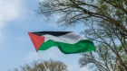 10 دول تتجه للاعتراف بدولة فلسطين