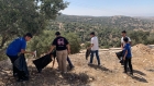 مركز شباب وشابات الهاشمية النموذجي ينظم حملة بيئية تطوعية
