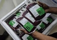صحة غزة: بنوك الدم في مستشفيات القطاع مهددة بالتوقف